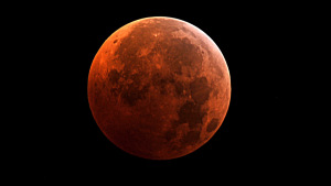 lunar-eclipse-october-20141